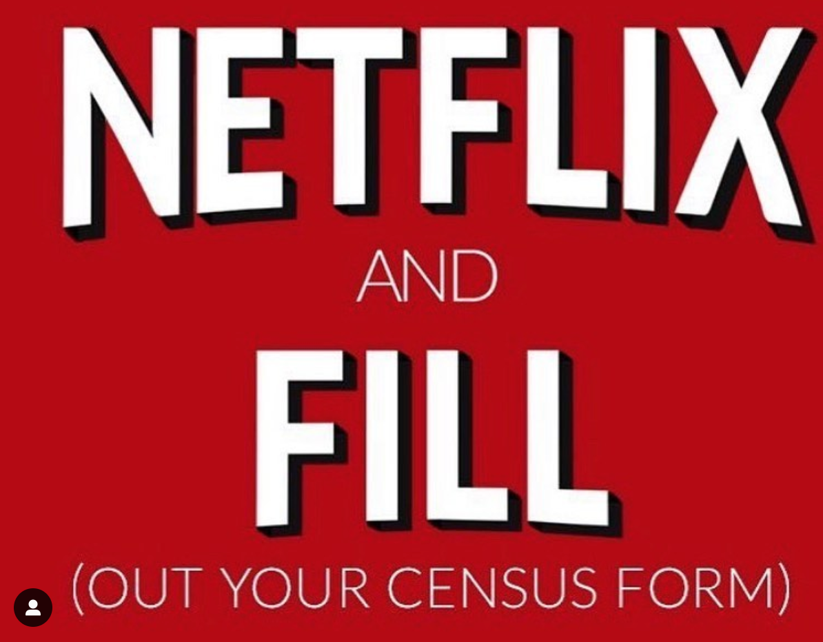 Netflix and Fill (Out your census form)